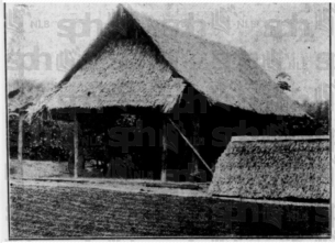 Kedai kopi Cina di Selangor Kedai kopi Cina di Selangor