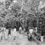 coffee-harvest-batu-cave-estate-singapore-1899-10645078.jpg