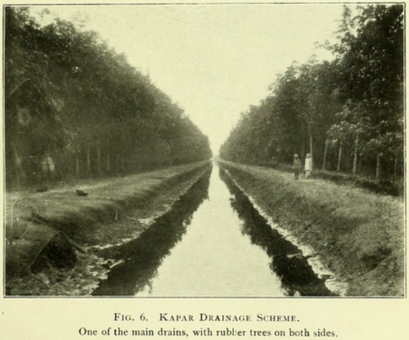 Perparitan di kawasan ladang di Kapar, sekitar 1910